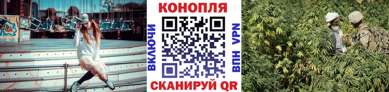 Продажа наркотиков Беломорск Кокаин  МЕФ  A PVP  Конопля 