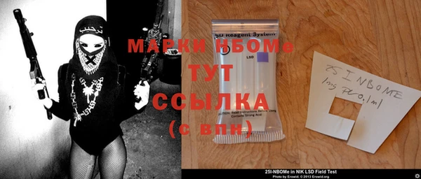 прущие грибы Богородицк