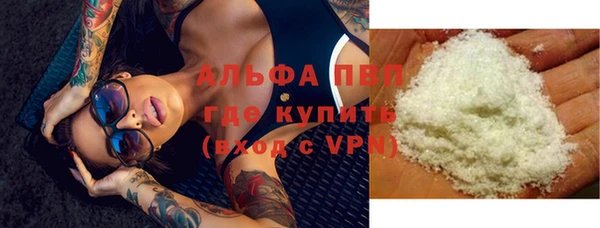 прущие грибы Богородицк