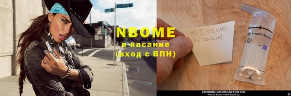 прущие грибы Белокуриха