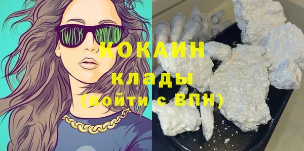 прущие грибы Белокуриха