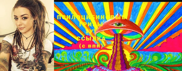 прущие грибы Белокуриха