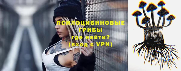 прущие крисы Богородск